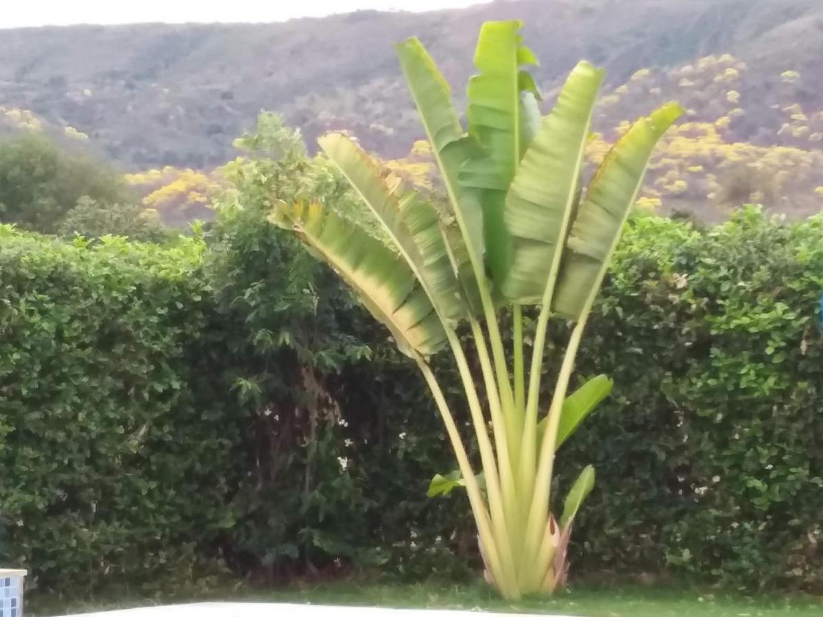 C&H Casa Campestre El Oasis Ricaurte Girardot Bed and Breakfast Esterno foto